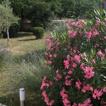 Apartament Adriana Labin (Istria)